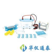 北京六一 DYCZ-24K、DYCZ-24KS型雙板垂直電泳儀